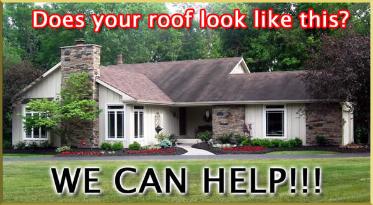 Mold Removal Experts